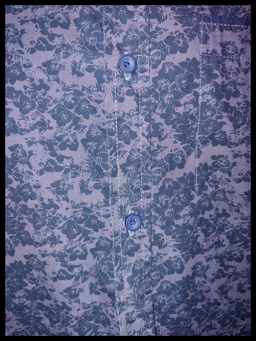 Company 81 Short-Sleeve Blue Button-Up Shirt Large - Picture 4 of 6